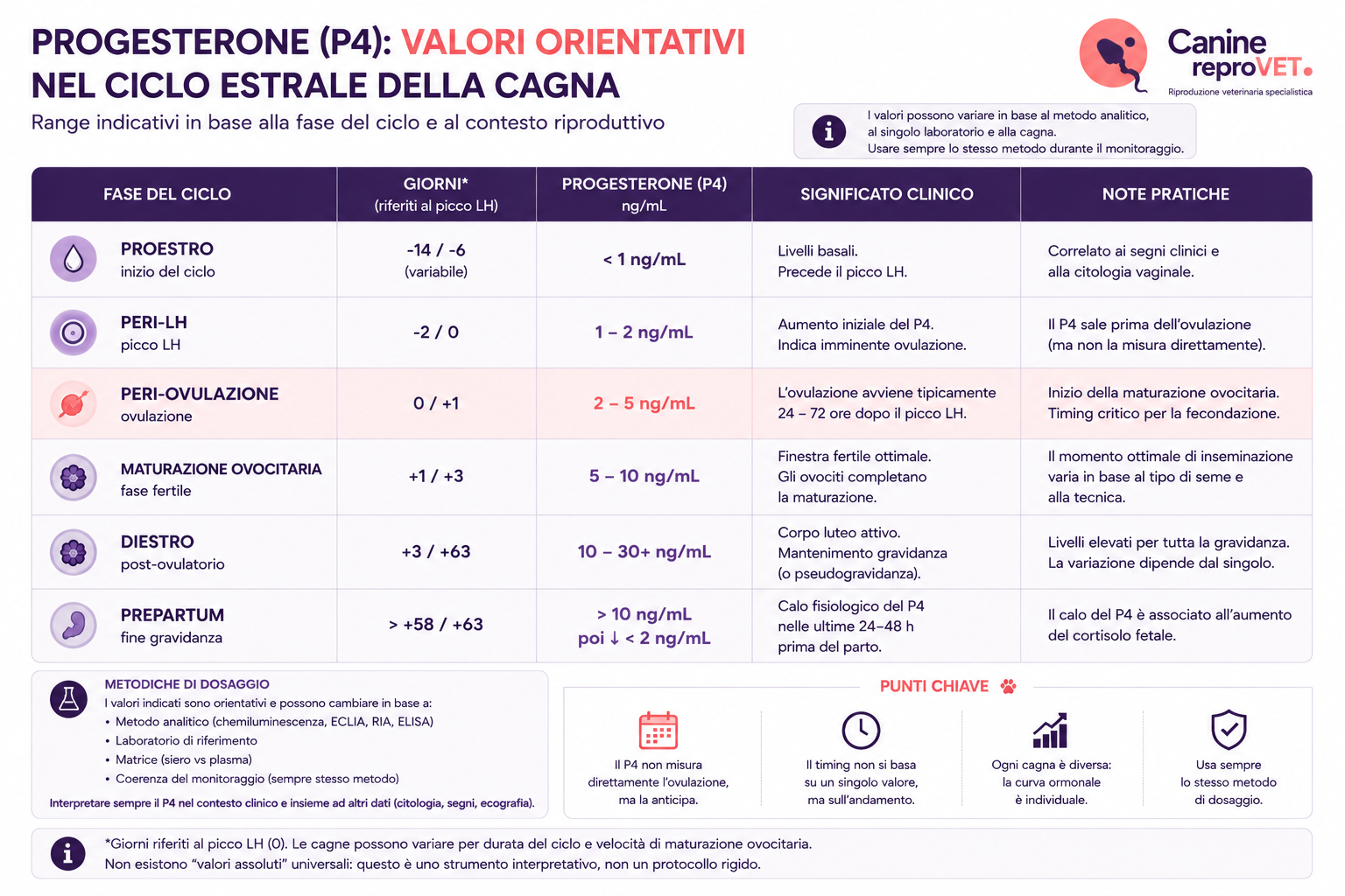 Tabella orientativa del progesterone nella cagna durante le principali fasi del ciclo estrale, dal proestro al preparto.