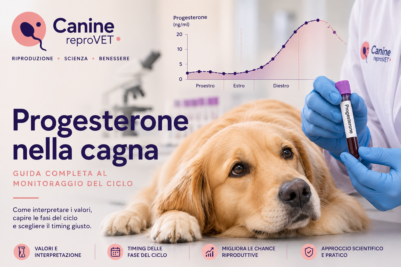 Cagna durante il monitoraggio del progesterone nel ciclo estrale, rappresentazione del percorso riproduttivo e della valutazione del momento fertile.