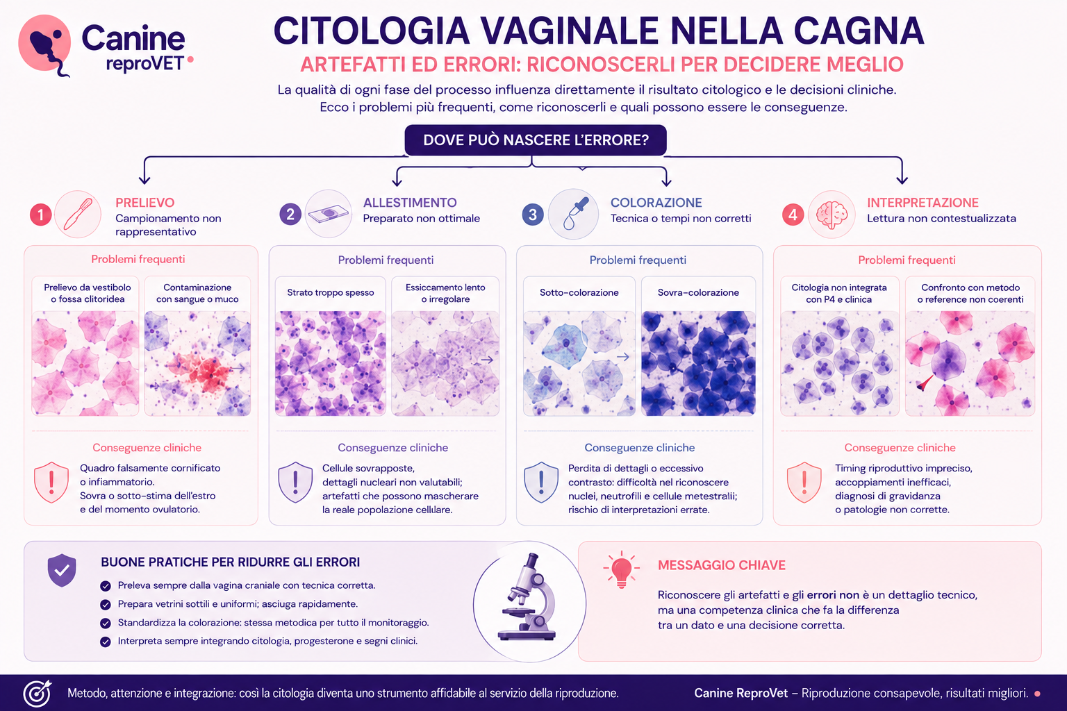 Diagramma decisionale degli artefatti e degli errori nella citologia vaginale della cagna, suddivisi in prelievo, allestimento, colorazione e interpretazione, con relative conseguenze cliniche.