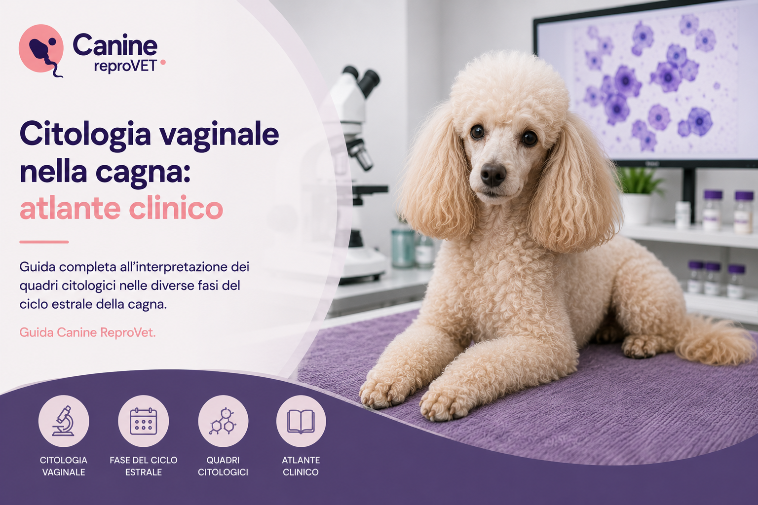 Citologia vaginale nella cagna: atlante clinico.