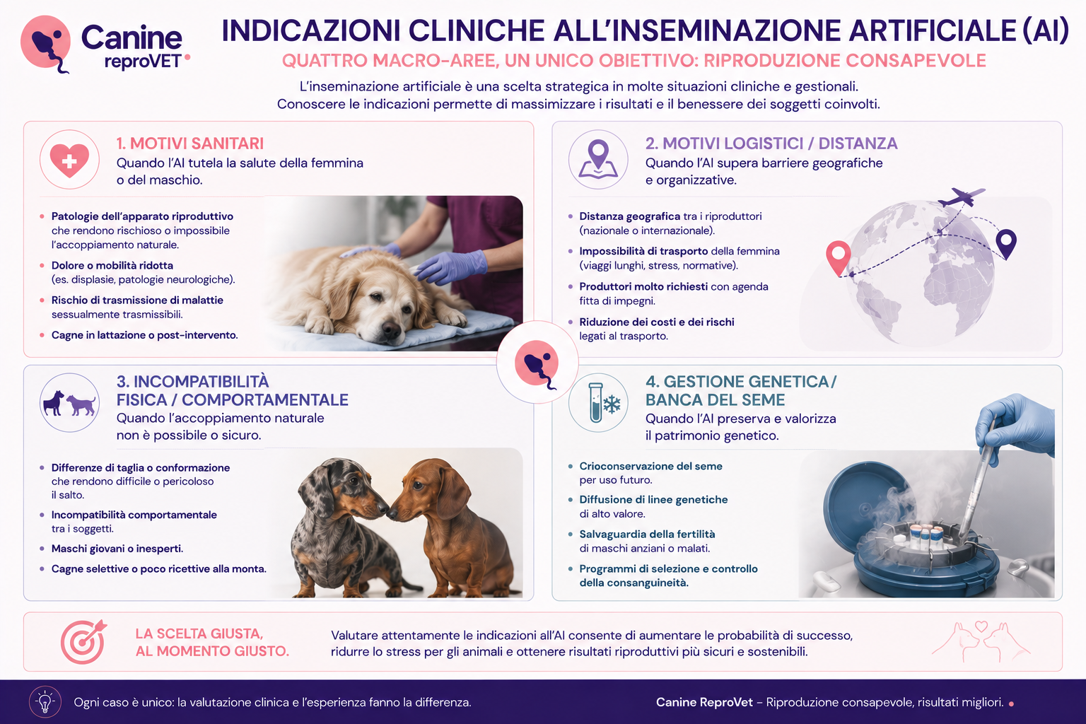 Infografica sulle principali indicazioni all'inseminazione artificiale nel cane, suddivise in motivi sanitari, logistici o di distanza, incompatibilità fisica o comportamentale e gestione genetica tramite banca del seme.