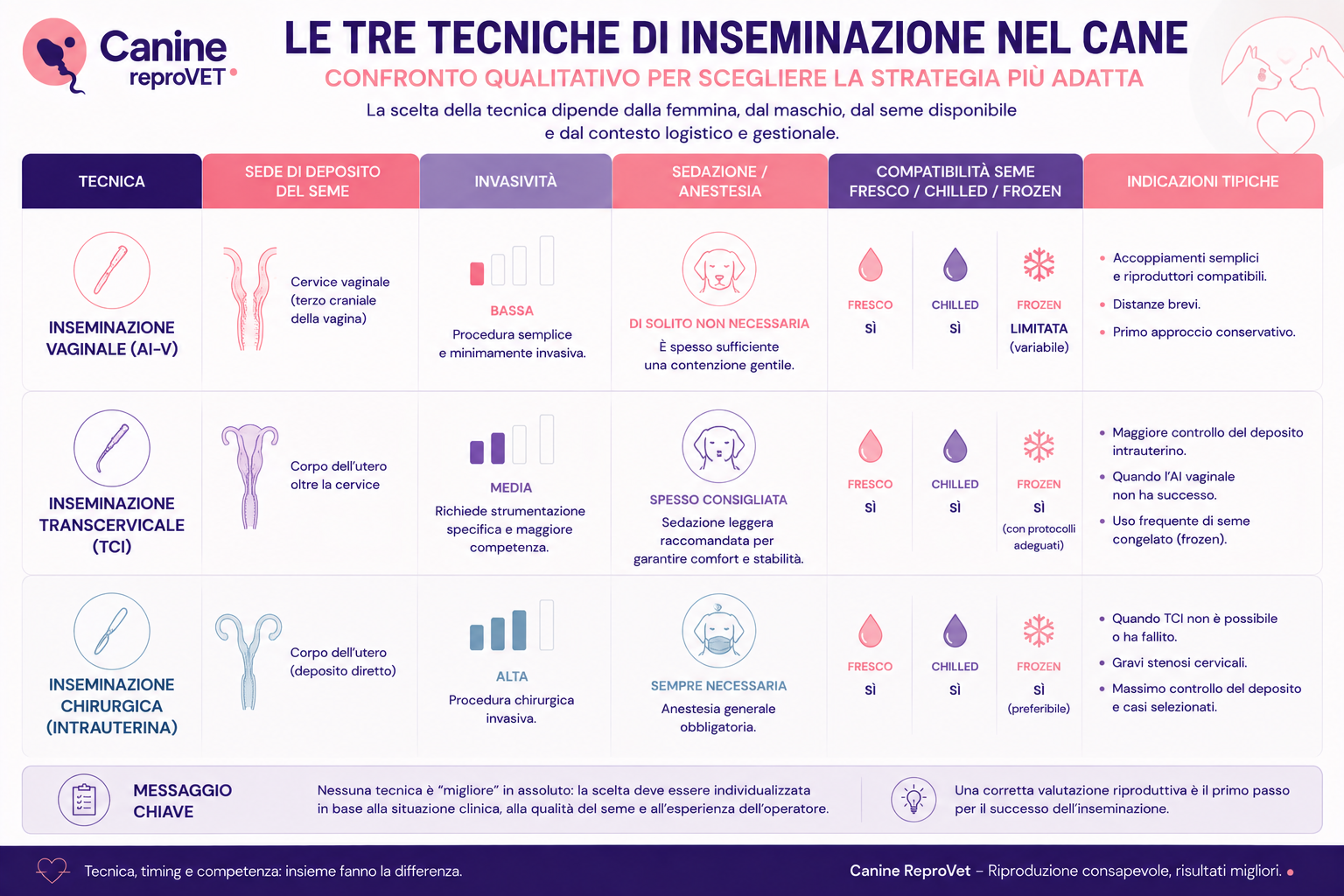Tabella comparativa delle tre principali tecniche di inseminazione artificiale nel cane — vaginale, transcervicale e chirurgica — con confronto tra sede di deposito, invasività, sedazione o anestesia, compatibilità con seme fresco, chilled e frozen e indicazioni tipiche.