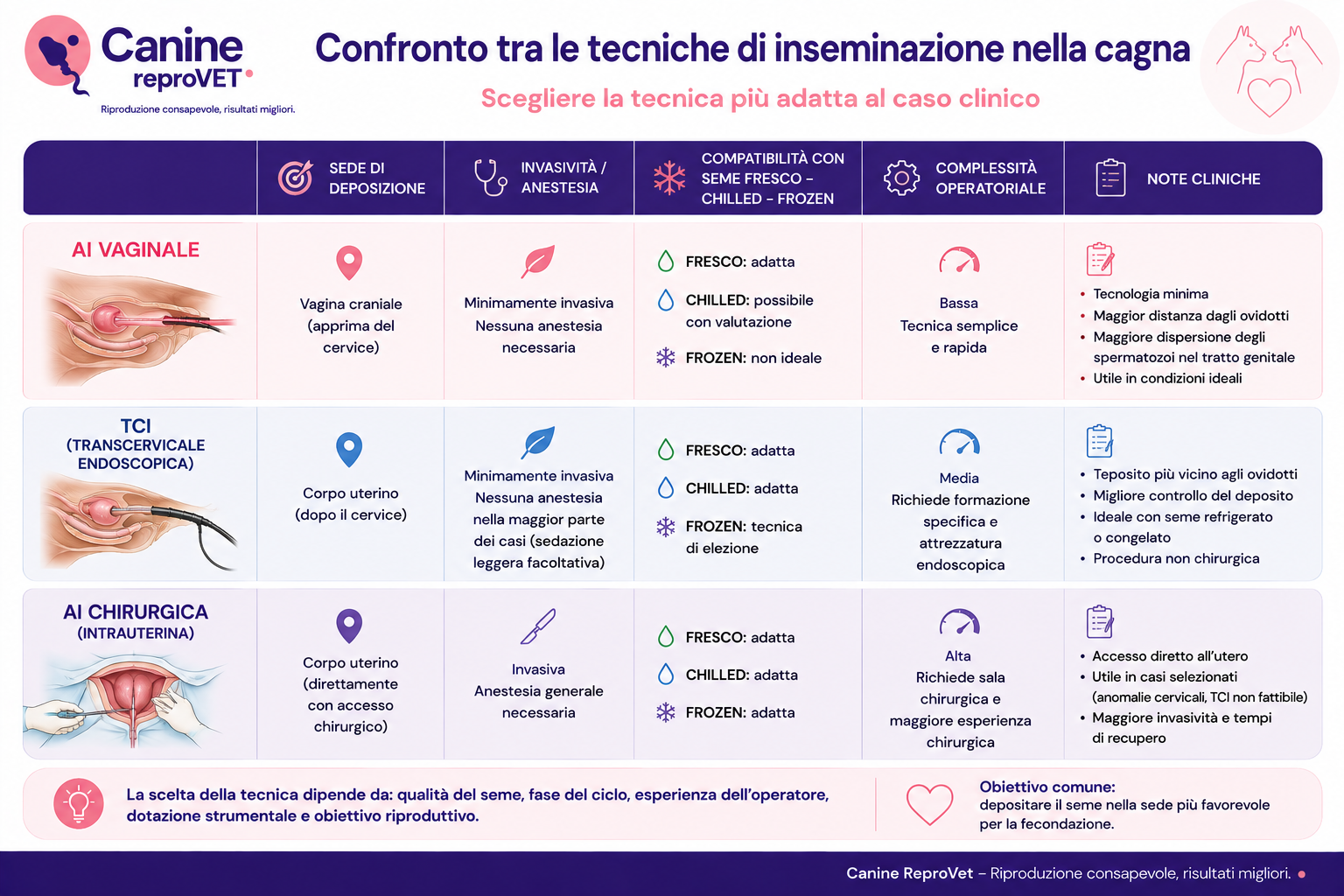 Tabella comparativa delle tecniche di inseminazione artificiale nella cagna: AI vaginale, TCI transcervicale endoscopica e AI chirurgica, con confronto tra sede di deposizione, invasività, compatibilità con il tipo di seme, complessità operativa e note cliniche.