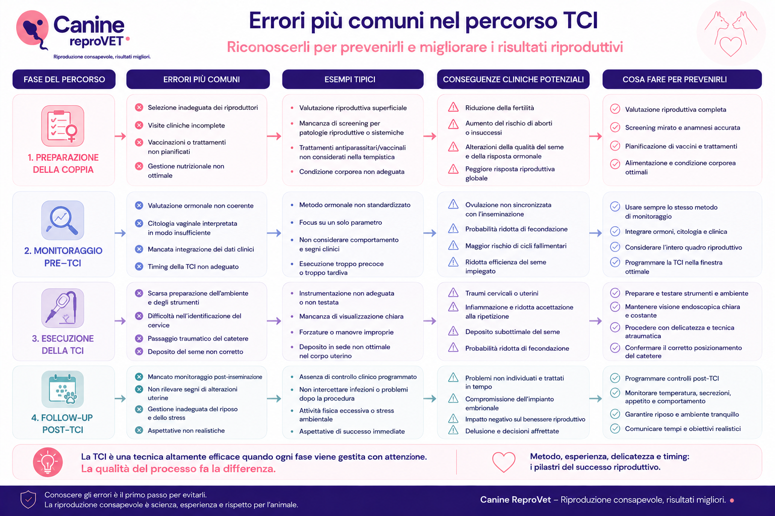 Diagramma degli errori più comuni nel percorso di TCI nella cagna, suddivisi in preparazione della coppia, monitoraggio pre-TCI, esecuzione della procedura e follow-up, con esempi e possibili conseguenze cliniche.