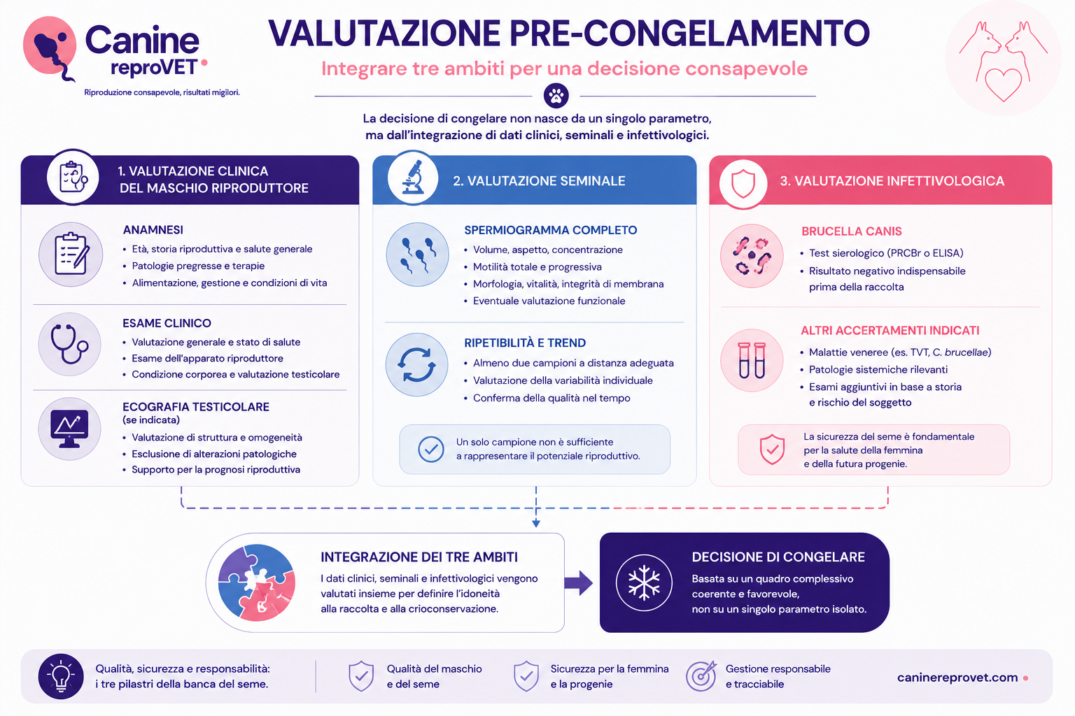 Infografica sulla valutazione pre-congelamento del seme canino, con integrazione della valutazione clinica del maschio, della qualità seminale e degli accertamenti infettivologici prima della crioconservazione.
