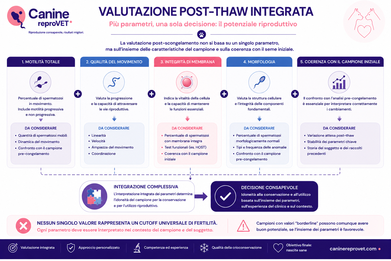 Infografica sulla valutazione post-scongelamento del seme canino basata sull'integrazione di motilità, qualità del movimento, integrità di membrana, morfologia e confronto con il campione pre-congelamento.