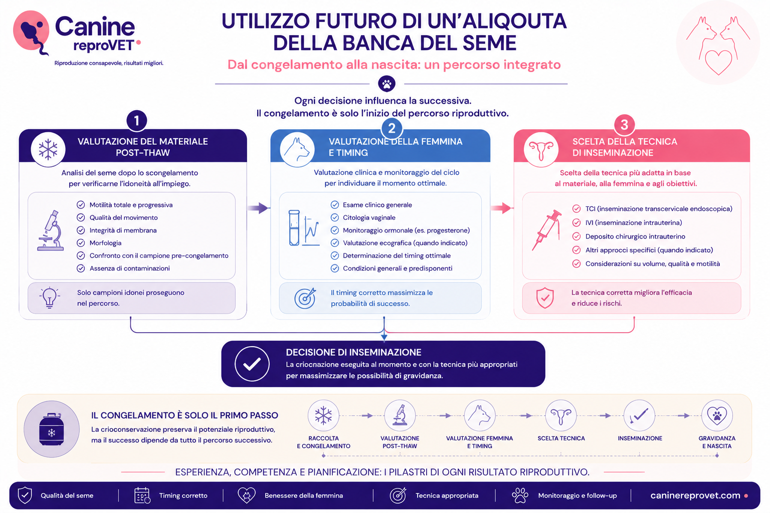 Flowchart sull'utilizzo futuro di un'aliquota di seme canino crioconservato, dalla valutazione post-thaw alla valutazione della femmina e del timing, fino alla scelta della tecnica di inseminazione.