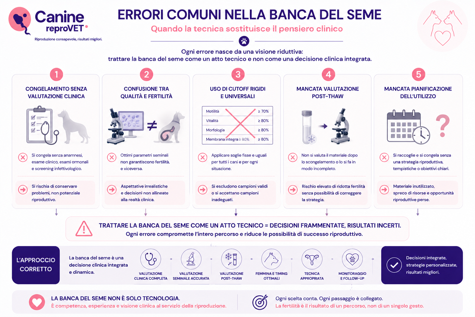 Infografica sui principali errori nella gestione della banca del seme canino: congelamento senza valutazione clinica, confusione tra qualità seminale e fertilità, uso di cutoff rigidi, mancata valutazione post-thaw e assenza di pianificazione dell'utilizzo.