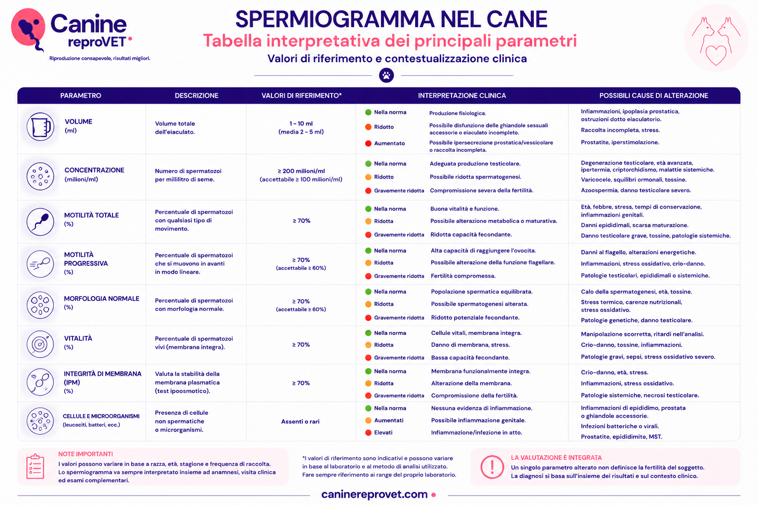Tabella interpretativa dei principali parametri dello spermiogramma nel cane, con volume, concentrazione, motilità, morfologia, vitalità, integrità di membrana e presenza di cellule o microrganismi, associati a interpretazione clinica e possibili cause di alterazione.