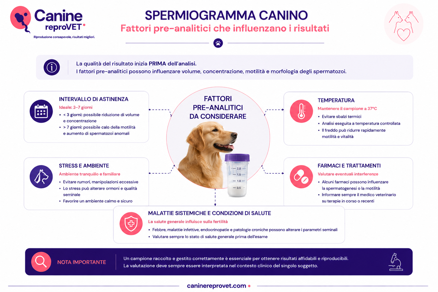 Infografica sui principali fattori pre-analitici che possono influenzare lo spermiogramma del cane: intervallo di astinenza, temperatura, stress e ambiente, farmaci e trattamenti, malattie sistemiche e condizioni di salute.
