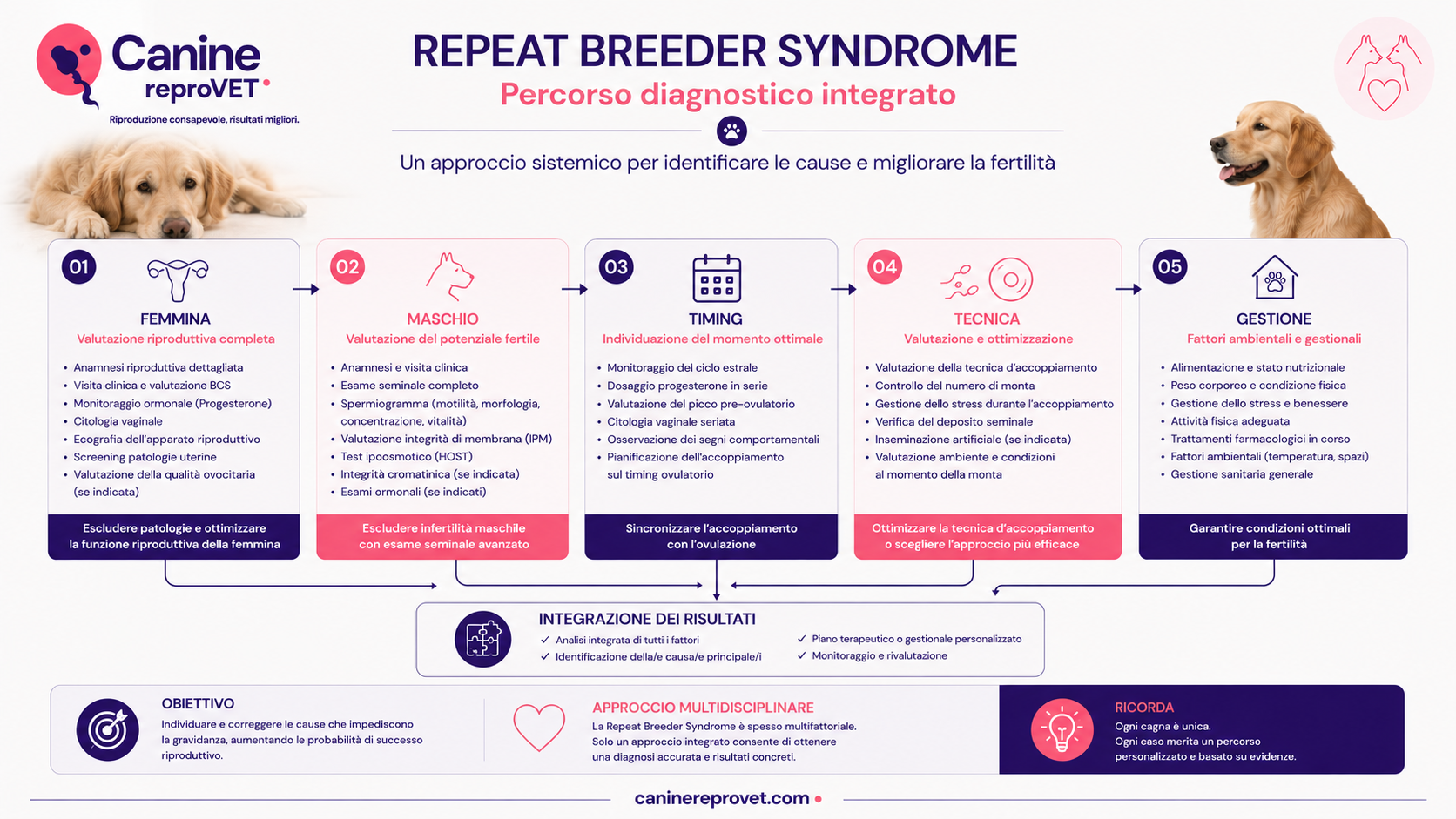 Schema del percorso diagnostico integrato della Repeat Breeder Syndrome nella cagna, con valutazione di femmina, maschio, timing riproduttivo, tecnica di accoppiamento e gestione, seguita dall'integrazione dei risultati.