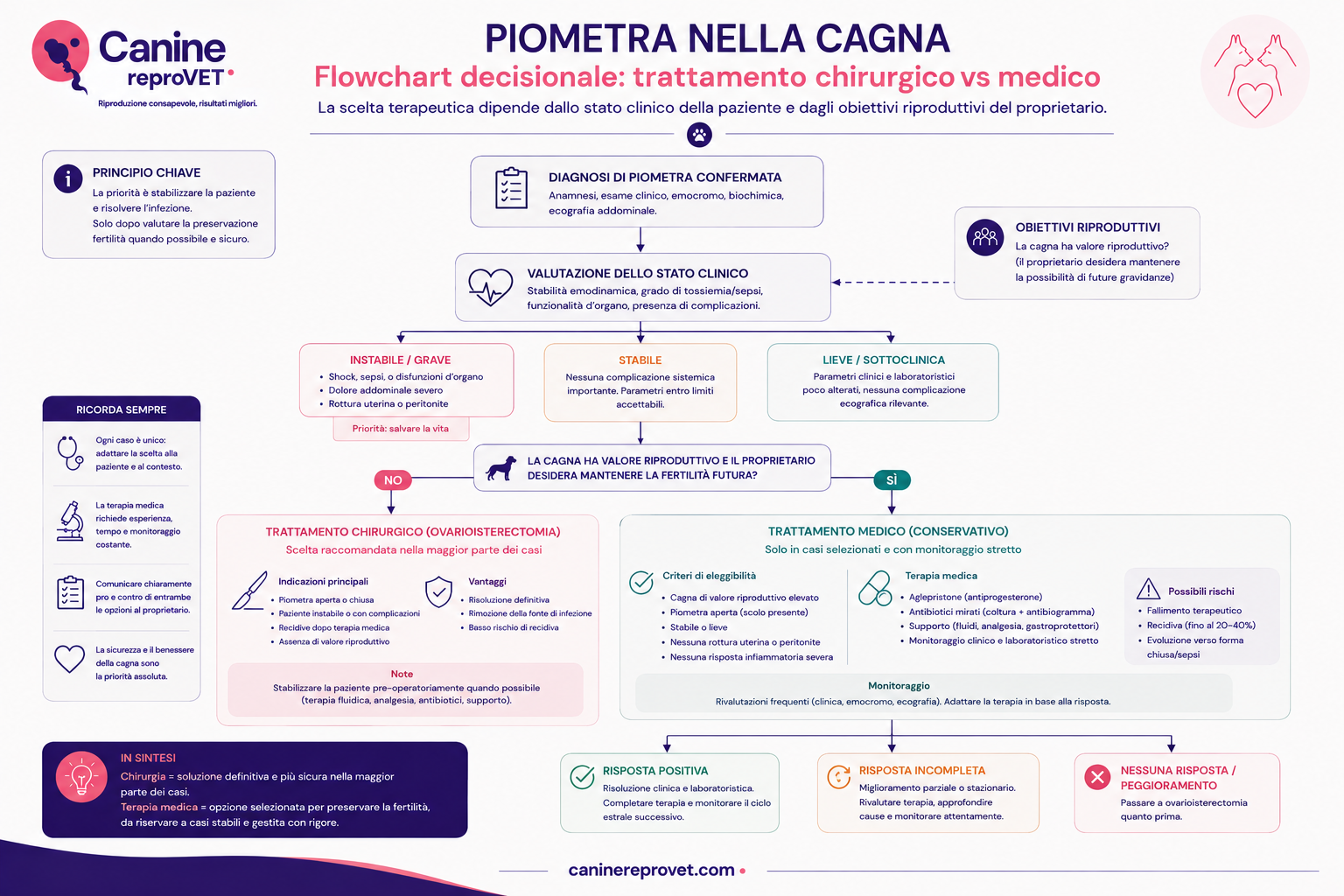 Flowchart decisionale per la scelta del trattamento della piometra nella cagna, con valutazione dello stato clinico, della stabilità della paziente e dell'obiettivo di preservare la fertilità, confrontando trattamento chirurgico e terapia medica conservativa.