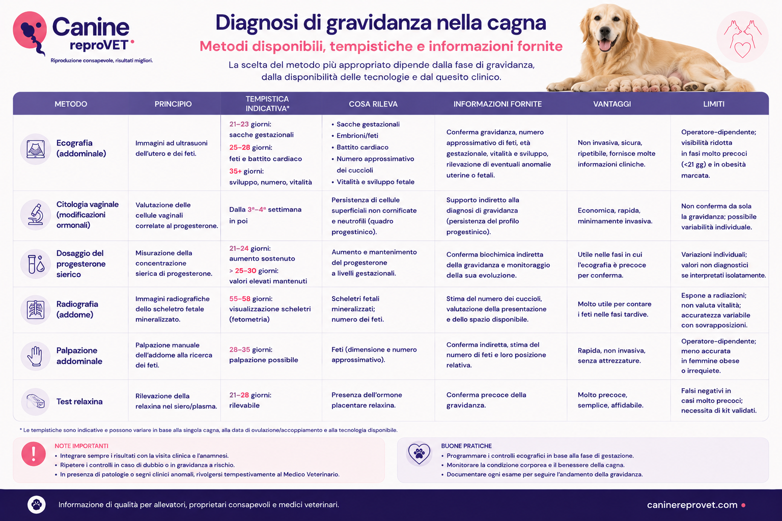 Tabella comparativa dei principali metodi diagnostici della gravidanza nella cagna, con tempistiche indicative, principio diagnostico, informazioni fornite, vantaggi e limiti di ecografia, citologia vaginale, progesterone, radiografia, palpazione addominale e test della relaxina.