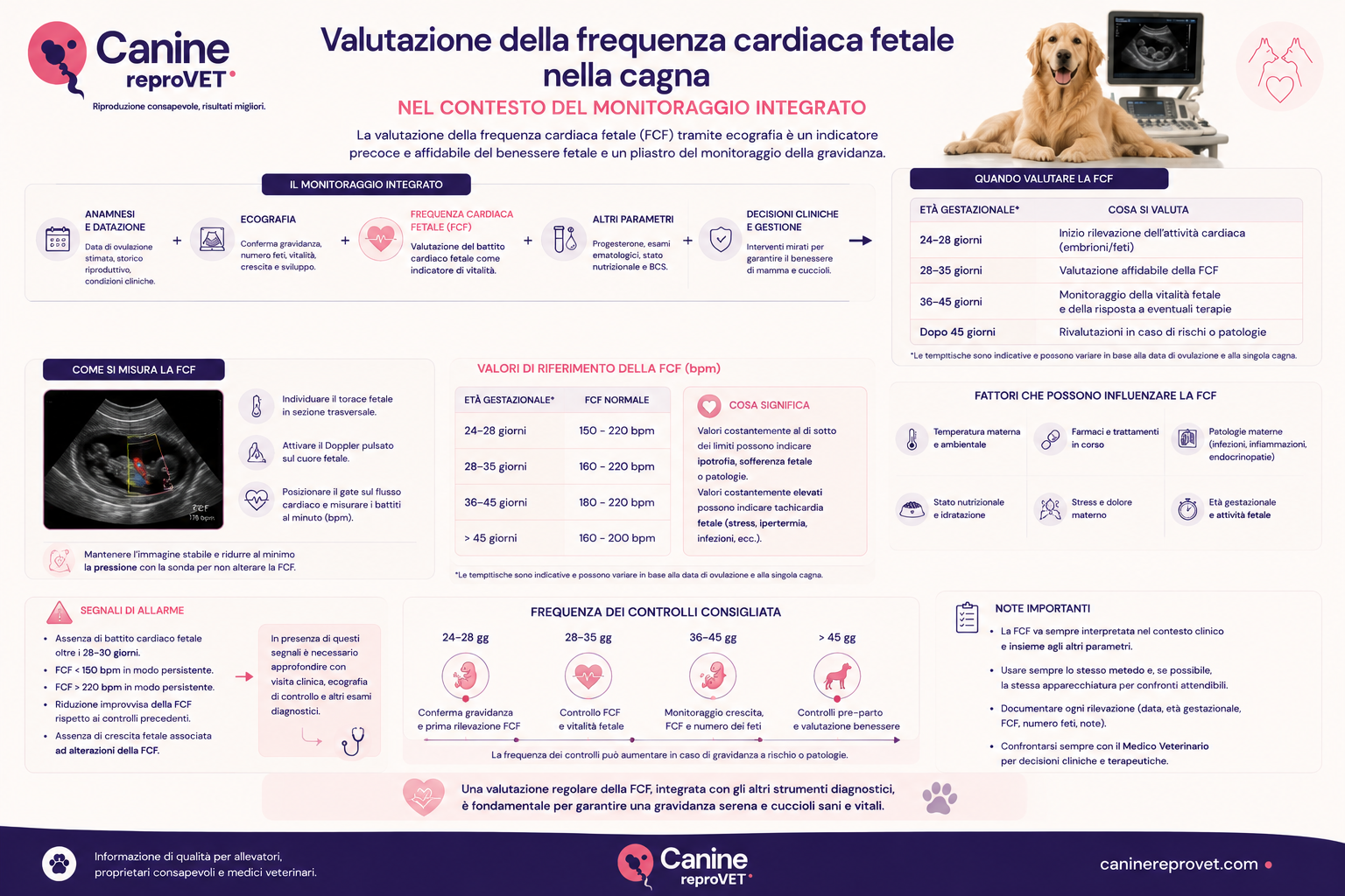 Infografica sulla valutazione della frequenza cardiaca fetale nella cagna, inserita nel monitoraggio integrato della gravidanza, con modalità di rilevazione ecografica, finestre indicative di valutazione, fattori che possono influenzare la frequenza cardiaca e principali segnali di allarme.