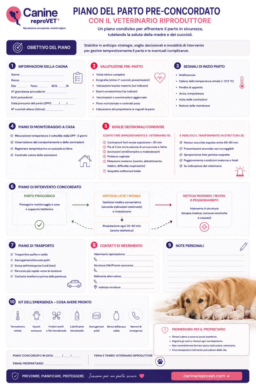 Infografica del piano del parto pre-concordato con il veterinario riproduttore, con valutazione pre-parto, segnali di inizio del parto, monitoraggio domiciliare, soglie decisionali, piano di intervento, trasporto e contatti di emergenza.