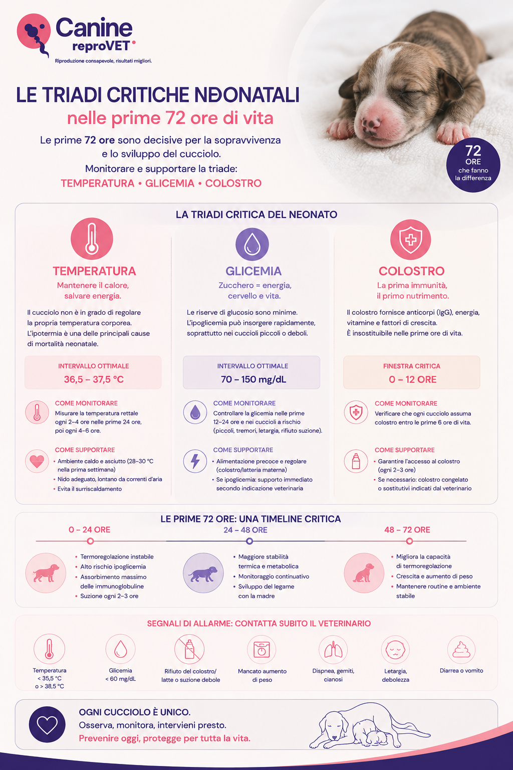 Infografica sulle triadi critiche neonatali nelle prime 72 ore di vita del cucciolo, con focus su temperatura, glicemia e colostro, modalità di monitoraggio, supporto, timeline e principali segnali d’allarme.