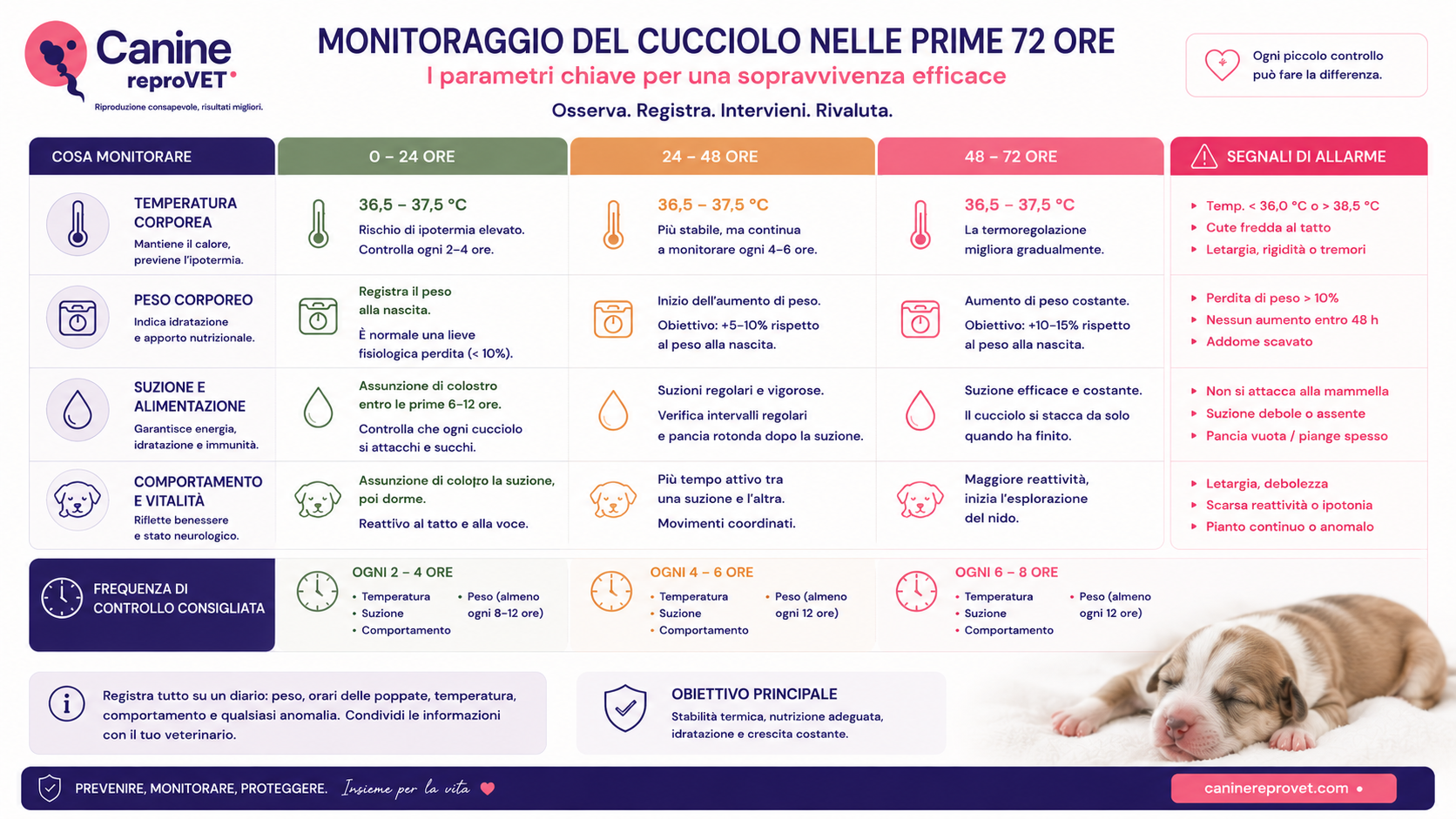Infografica sul monitoraggio del cucciolo nelle prime 72 ore di vita, con controllo di temperatura corporea, peso, suzione e alimentazione, comportamento e vitalità, frequenza dei controlli e principali segnali d’allarme.