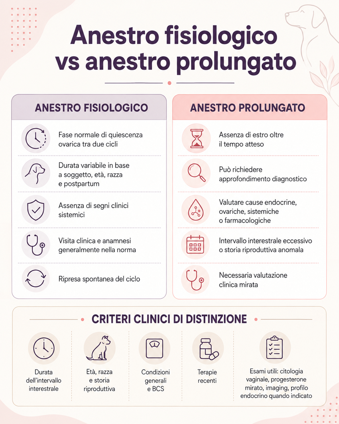 Infografica comparativa tra anestro fisiologico e anestro prolungato nella cagna, con criteri clinici utili per distinguerli e indicazioni sugli approfondimenti diagnostici.