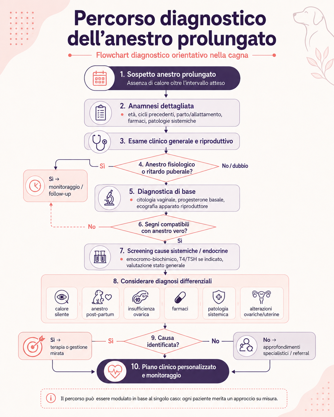 Flowchart del percorso diagnostico dell’anestro prolungato nella cagna, dall’anamnesi e visita clinica agli esami riproduttivi, screening endocrino e diagnosi differenziali.