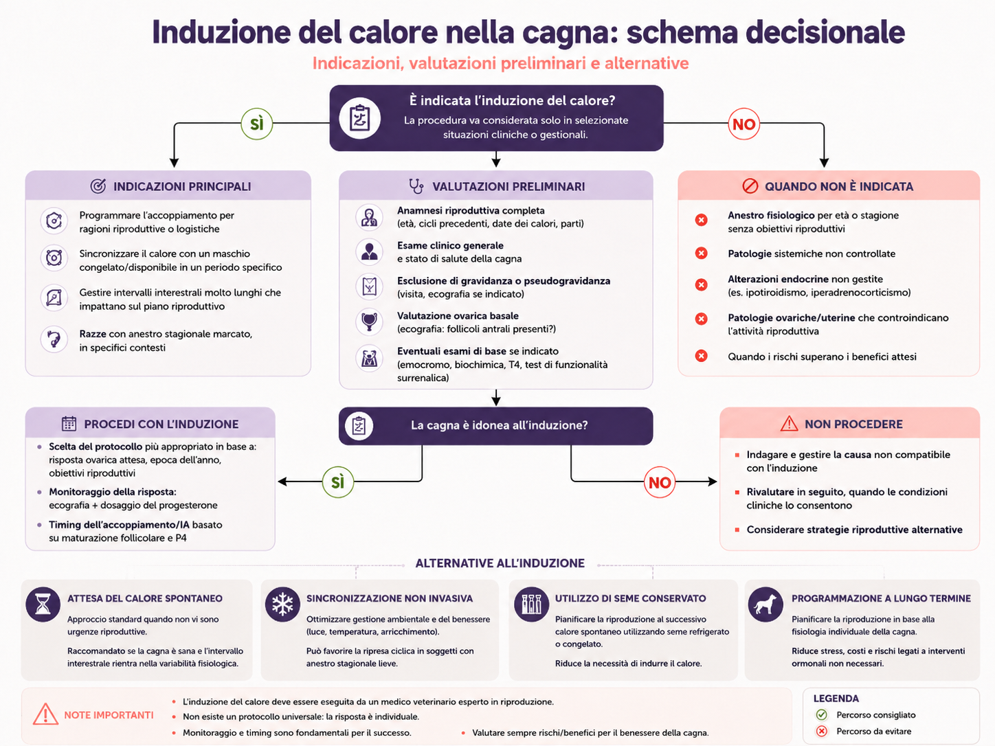 Schema decisionale per l’induzione del calore nella cagna, con indicazioni cliniche, valutazioni preliminari, criteri di idoneità e possibili alternative.