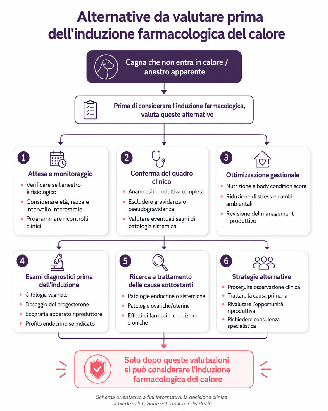 Flowchart delle alternative cliniche da valutare prima di ricorrere all’induzione farmacologica del calore nella cagna
