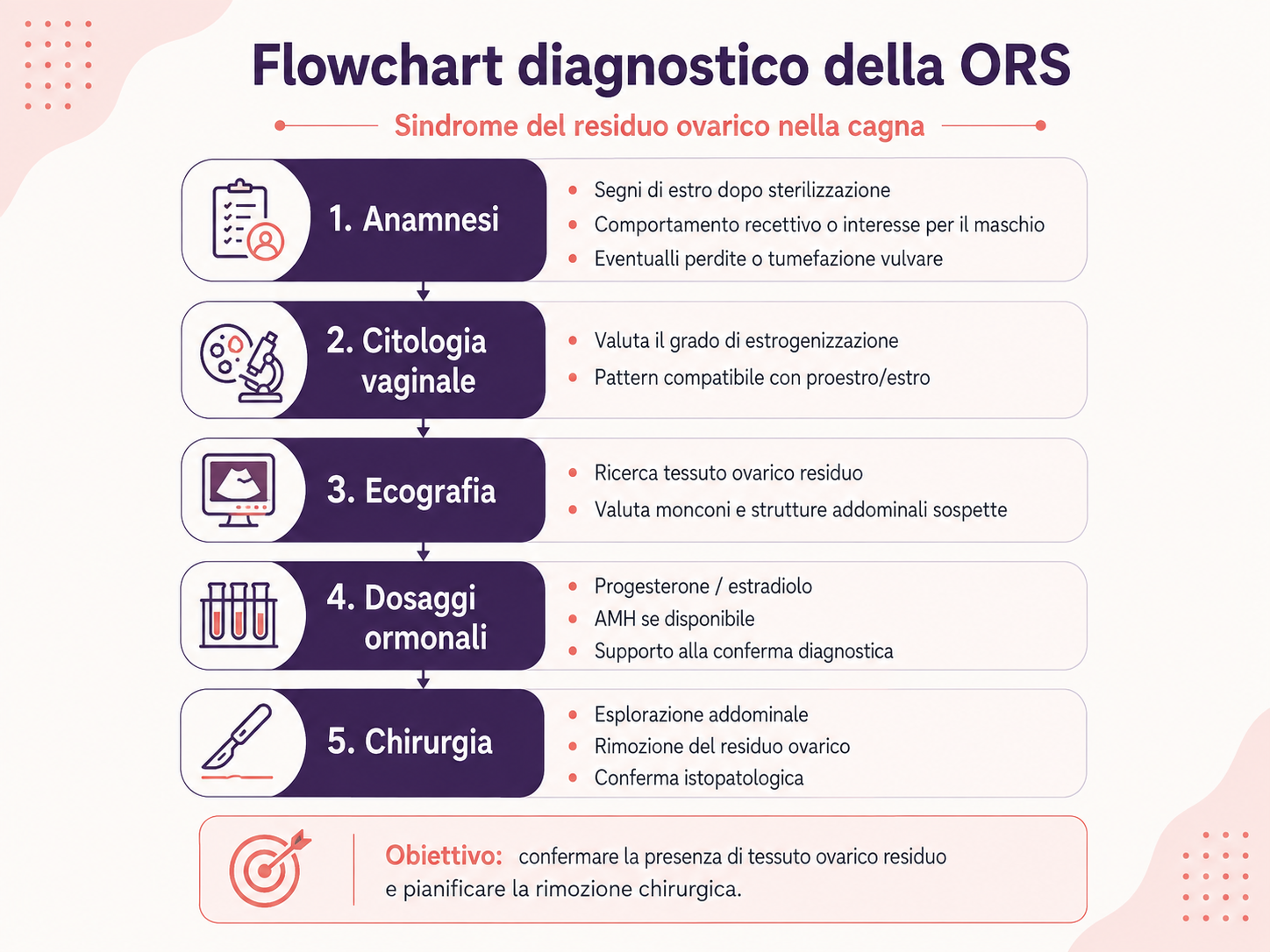 Flowchart diagnostico della sindrome dell’ovaio residuo (ORS) nella cagna: anamnesi, citologia vaginale, ecografia, dosaggi ormonali e chirurgia.