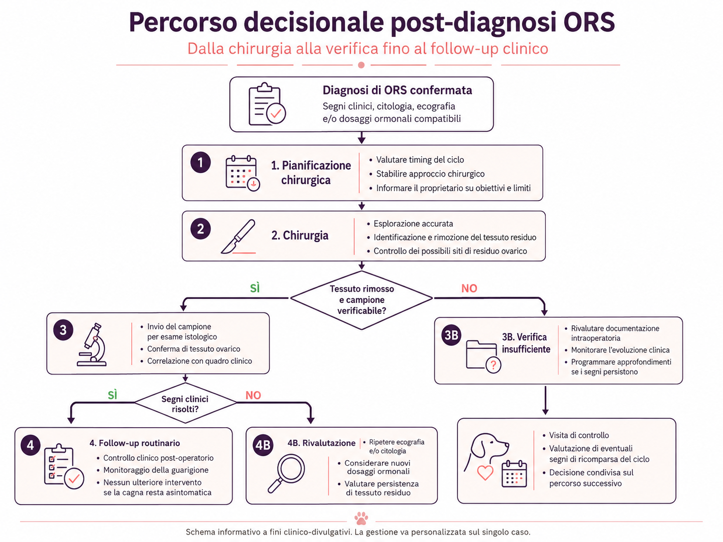 Schema del percorso decisionale post-diagnosi della sindrome dell’ovaio residuo (ORS) nella cagna, dalla chirurgia alla verifica diagnostica fino al follow-up clinico.